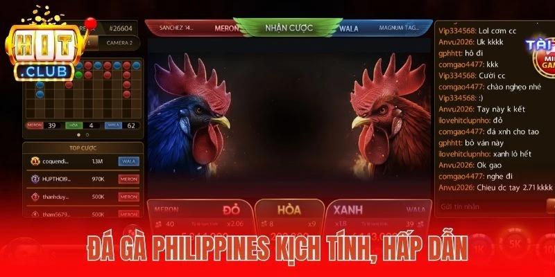 Đá gà Philippines kịch tính, hấp dẫn