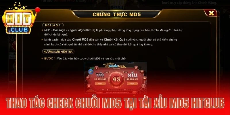 Thao tác check chuỗi MD5 tại Tài Xỉu MD5 Hitclub